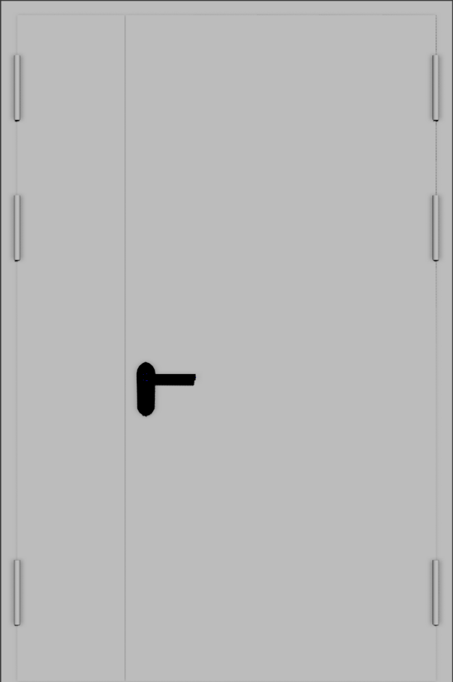 Техническая двупольная, полуторная дверь
